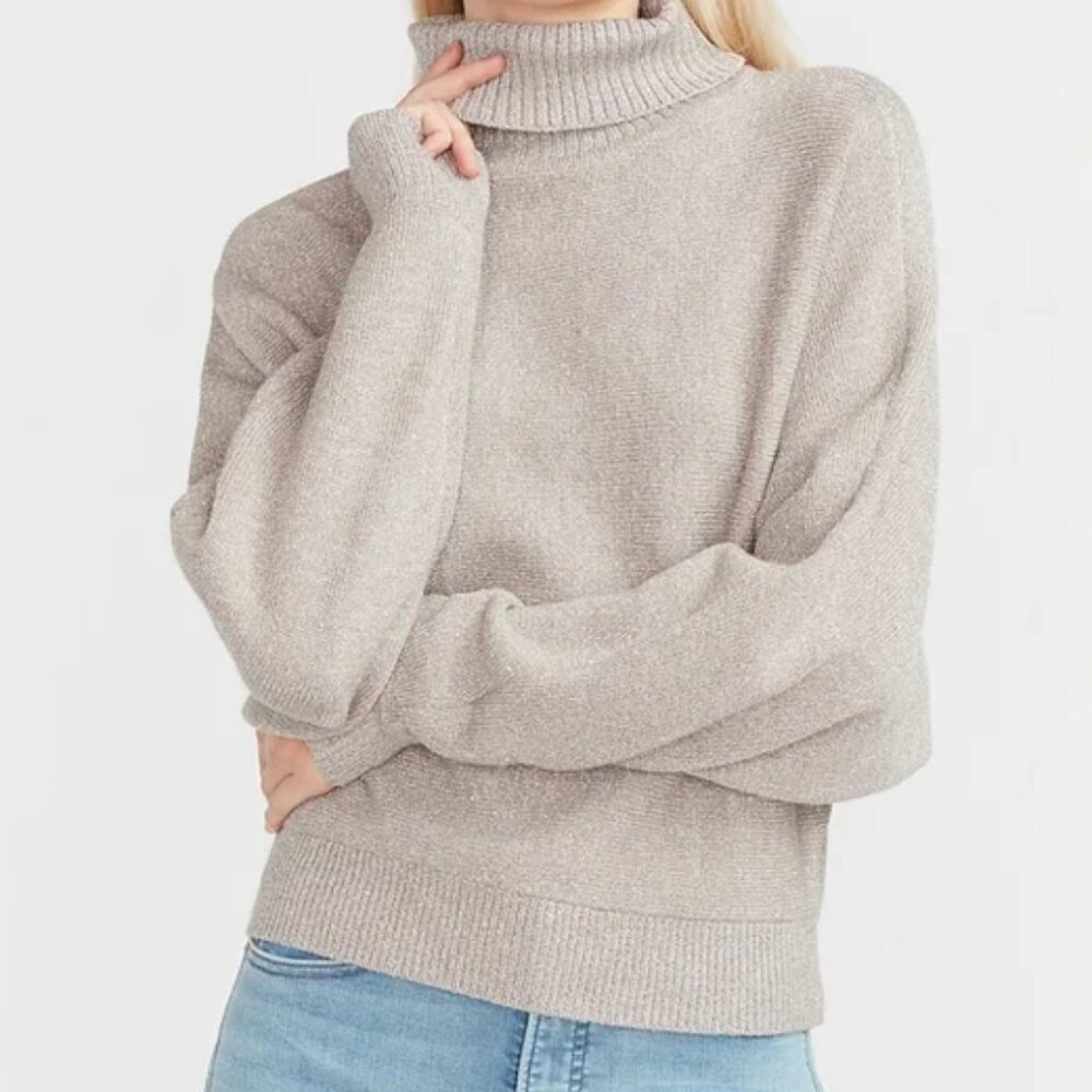 Express Metallic Dolman Sleeve Turtleneck Sweater | XS